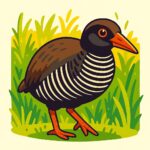 ヤンバルクイナ