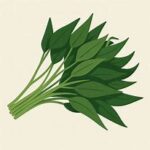 空心菜